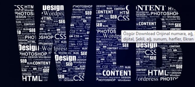 Sitenize Whatsapp Ekleme 19 TL