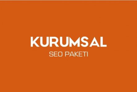 Kurumsal Backilnk Paketi Basic